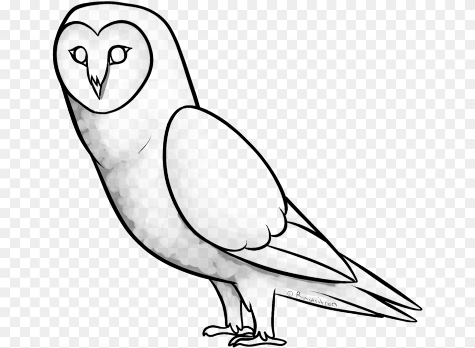 Collection Of Tea Drawing Owl Download Sketch, Animal, Bird Free Transparent Png