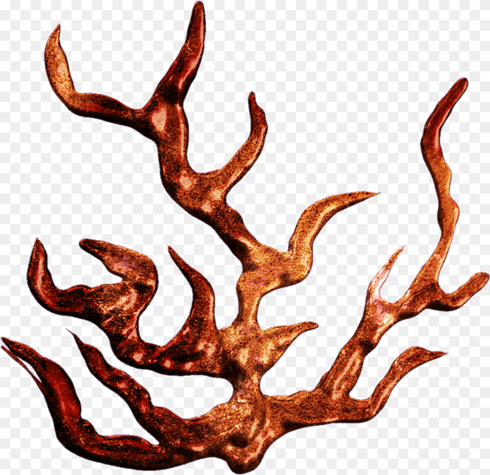 Collection Of Transparent Coral Clear Background, Antler, Animal, Antelope, Mammal Png