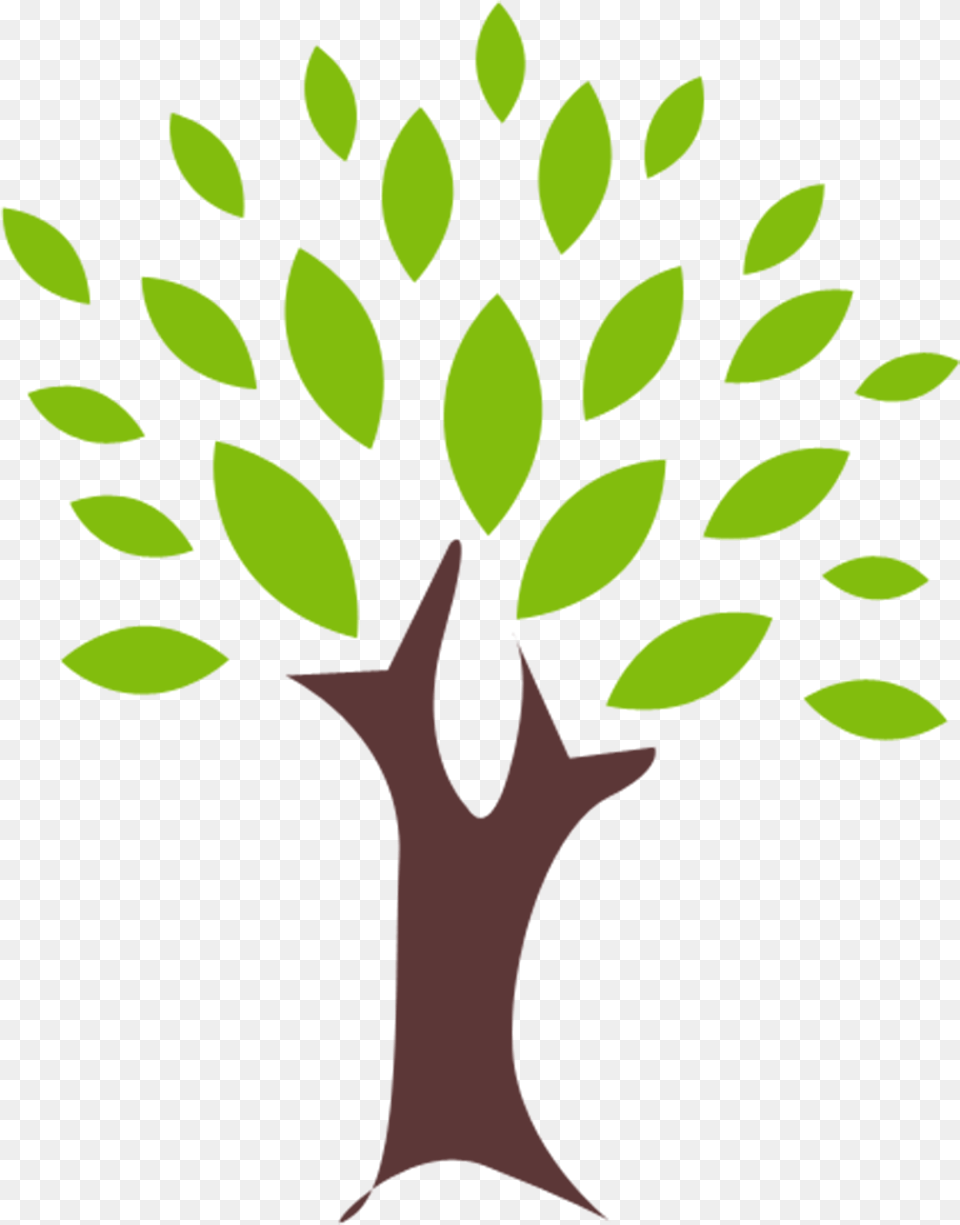 Collection Of Tree Without Leaves Clipart Woodland Tree Clipart, Green, Leaf, Plant, Potted Plant Free Transparent Png