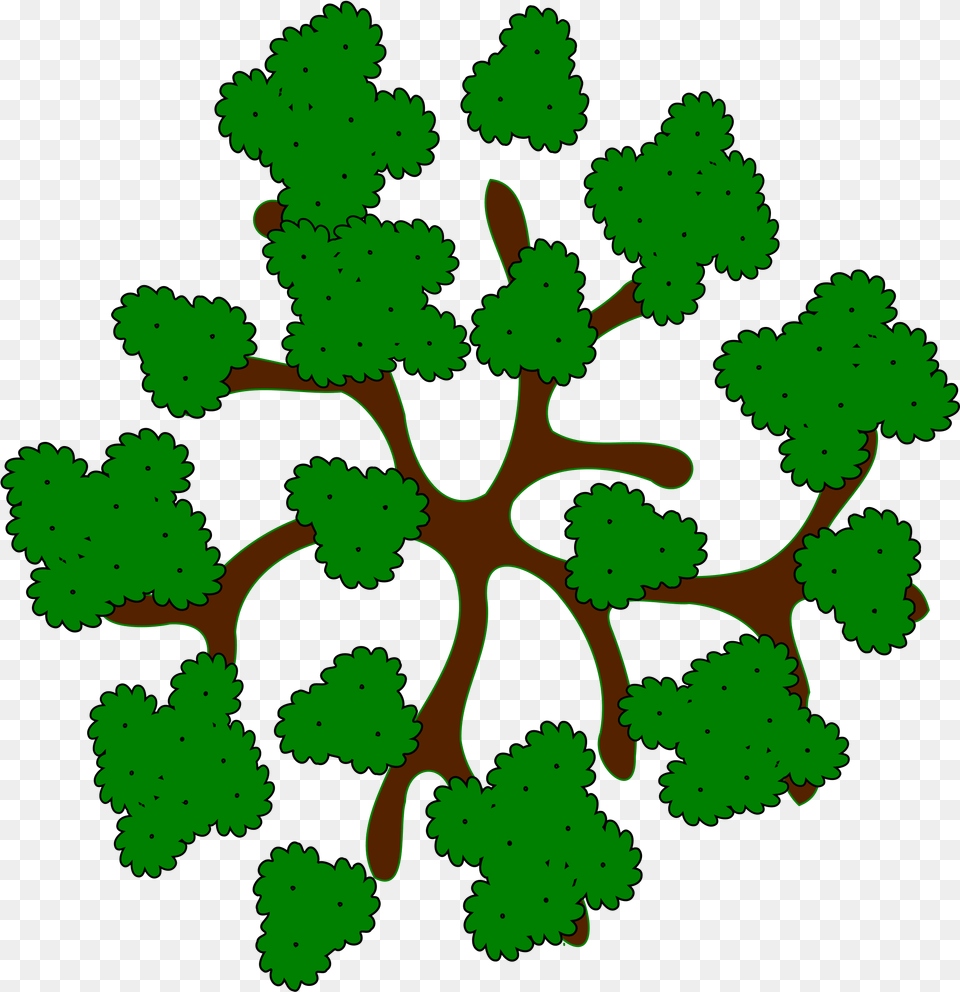 Collection Of Trees Clipart Top View Tree Top View Cartoon, Leaf, Plant, Pattern, Outdoors Png Image
