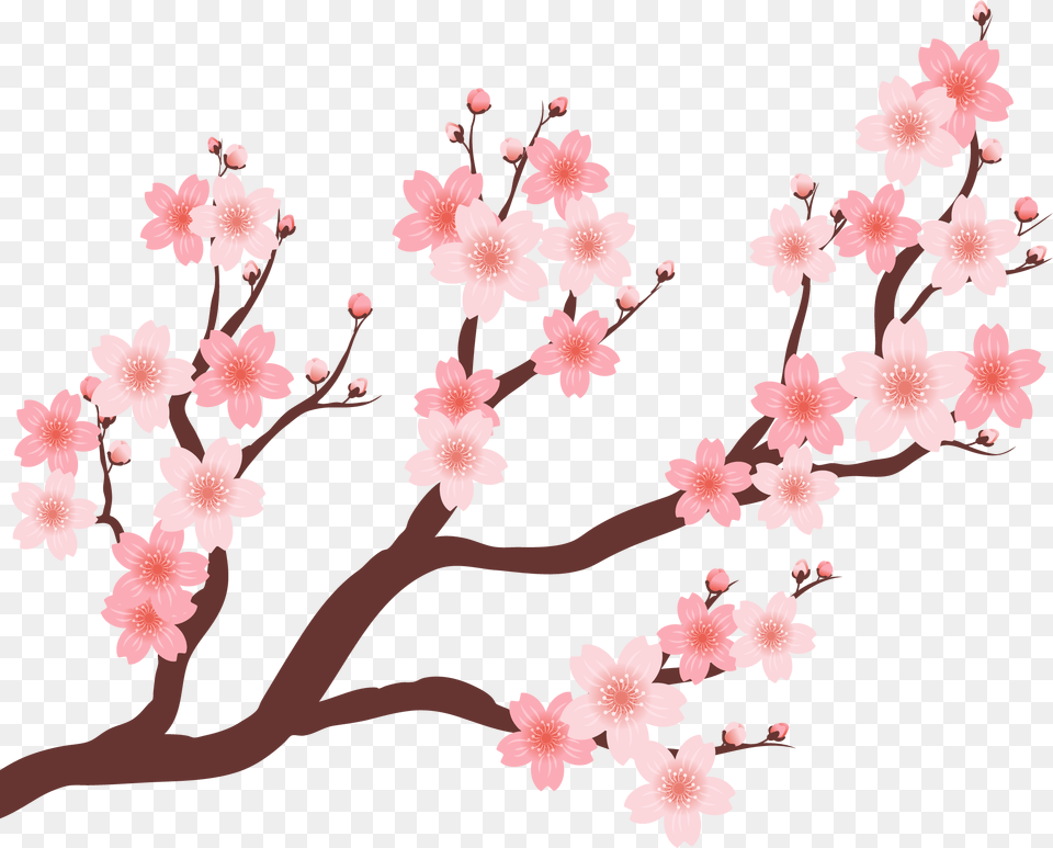 Collection Of Vector Trees Plum Blossom Cherry Blossom Branch, Cherry Blossom, Flower, Plant Free Png Download