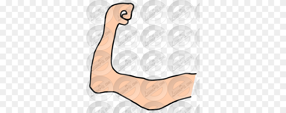 Collection Of Weak Arm Clipart Weak Arm Clipart, Body Part, Person, Disk, Hand Png