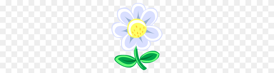 Collection Of White Flower Drawing Them And Try To Solve, Anemone, Daisy, Plant, Petal Free Png