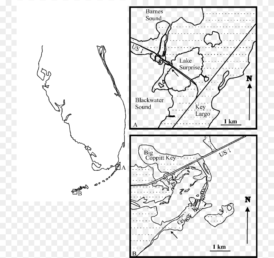 Collection Sites For Two Populations Of Costasiella Line Art, Chart, Plot, Drawing, Outdoors Png