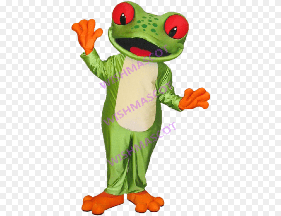 College Boreal Tree Frog Mascot Costume True Frog, Toy, Amphibian, Animal, Wildlife Png
