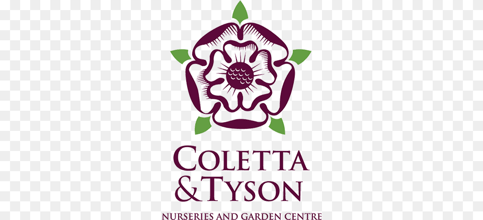 Colleta Tyson Logo Colleta And Tyson Logo, Purple, Plant, Flower, Book Free Transparent Png