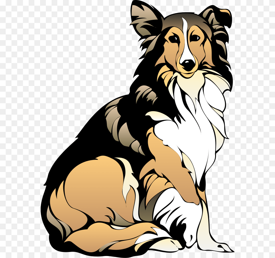 Collie Clipart, Animal, Person, Mammal, Pet Free Png