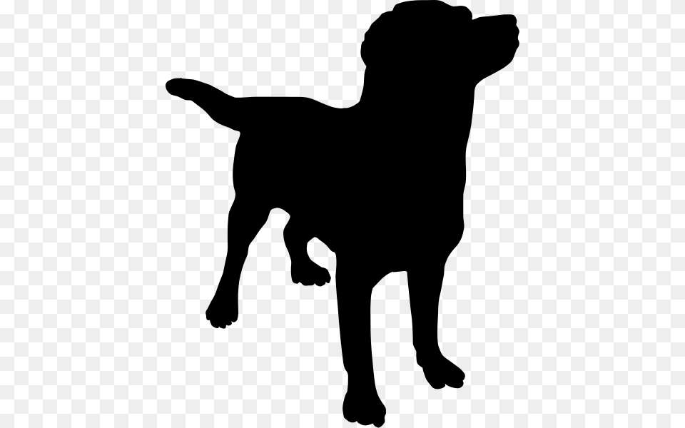 Collie Clipart, Gray Free Transparent Png
