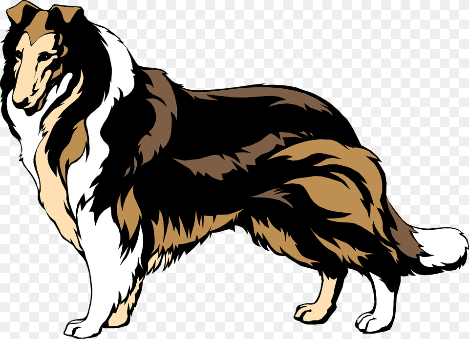 Collie Clipart, Animal, Canine, Dog, Mammal Free Png