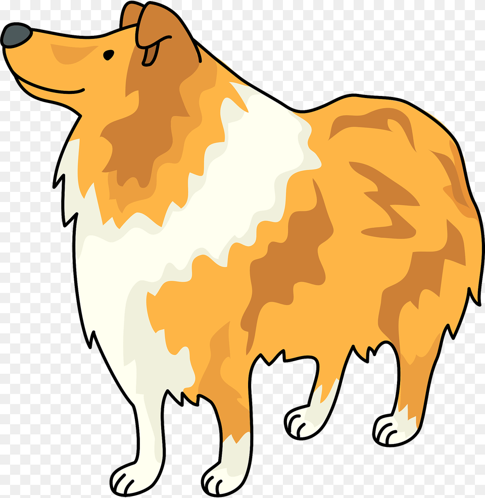 Collie Dog Clipart, Animal, Canine, Mammal, Pet Free Png