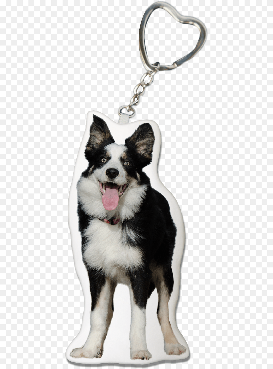 Collie Dog Keychain Keychain, Accessories, Animal, Canine, Puppy Free Png