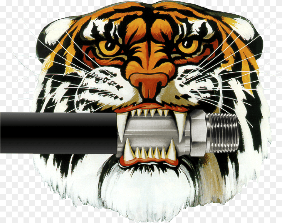 Colliflower Parker Store Hose Tiger, Animal, Mammal, Wildlife, Zebra Free Transparent Png