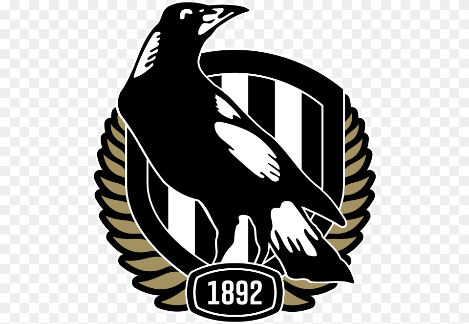 Collingwood Logo Collingwood Football Club Logo, Animal, Bird, Person, Magpie Free Transparent Png