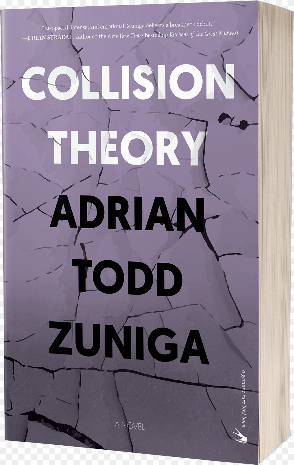 Collision Theory Signedclass Lazyload Lazyload, Book, Publication, Novel Free Png Download