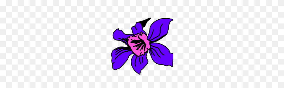 Colombia Clip Arts Colomb A Clipart, Flower, Petal, Plant, Purple Png
