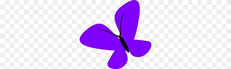 Colombia Flag Butterfly Clip Art, Flower, Petal, Plant, Purple Png