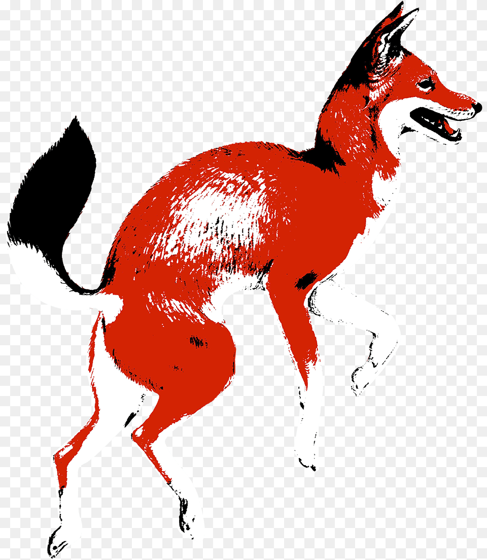 Colombia Jeremias Lasso Geisha Red Fox Coffee Logo, Animal, Mammal, Canine, Dog Free Transparent Png