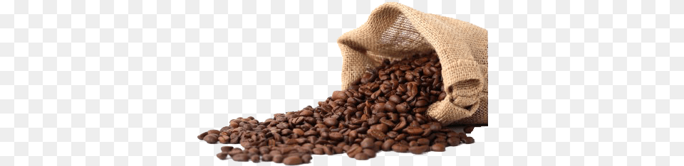 Colombian Coffee Whole Bean Organic Coffee Best, Bag, Beverage, Animal, Reptile Free Png