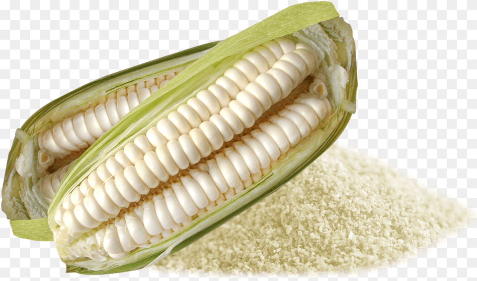 Colombian Corn, Food, Grain, Plant, Produce Png Image