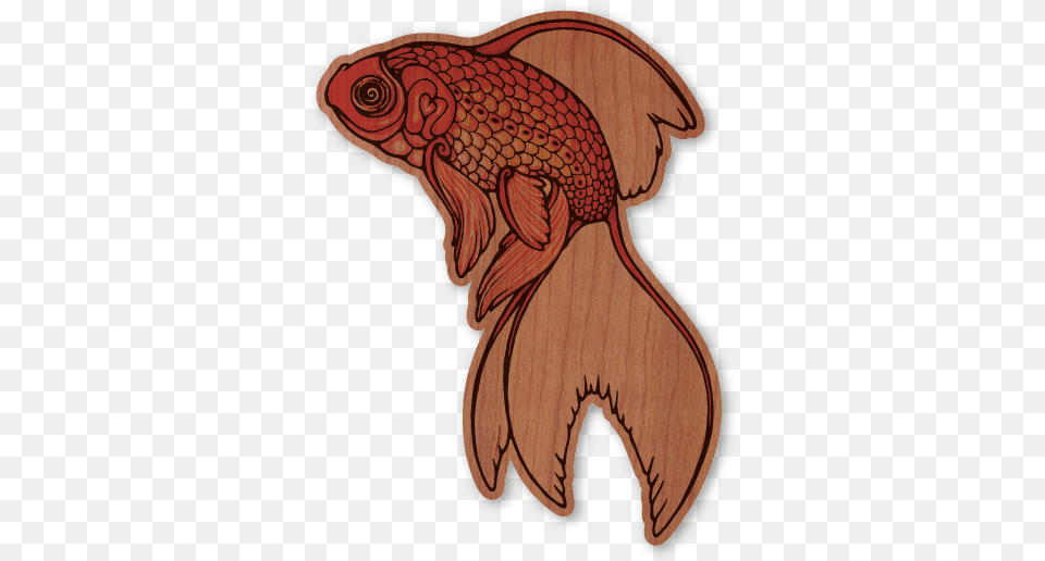 Color, Animal, Sea Life, Fish, Goldfish Png