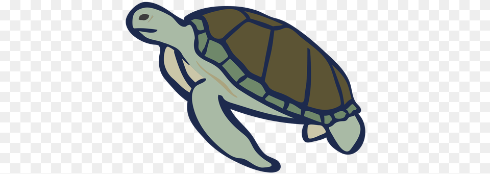 Color Animal Flat Turtle U0026 Svg Vector File Tortuga Color, Reptile, Sea Life, Sea Turtle, Tortoise Png Image