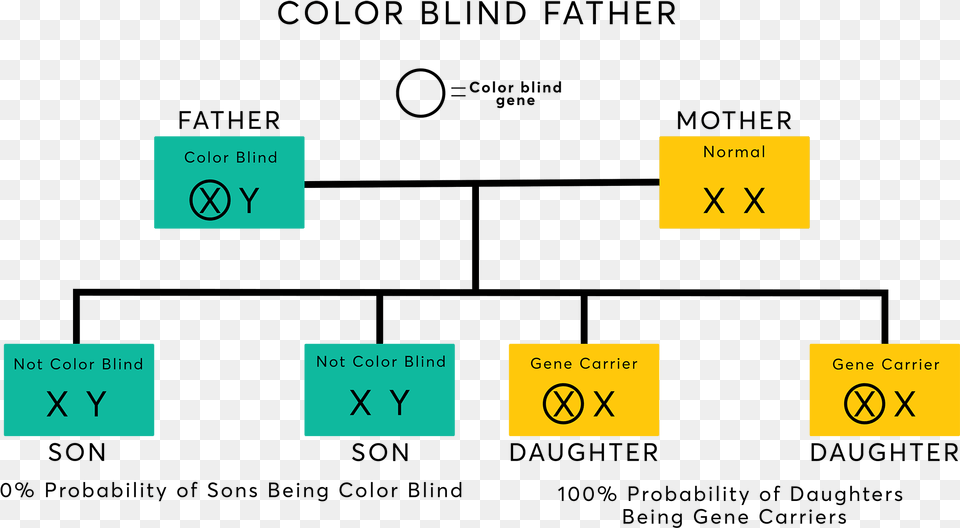 Color Blind Gene, Text, Symbol, Number Free Png Download