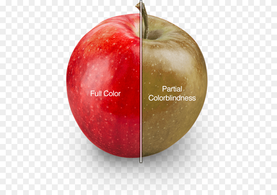 Color Blindness, Apple, Food, Fruit, Plant Free Png