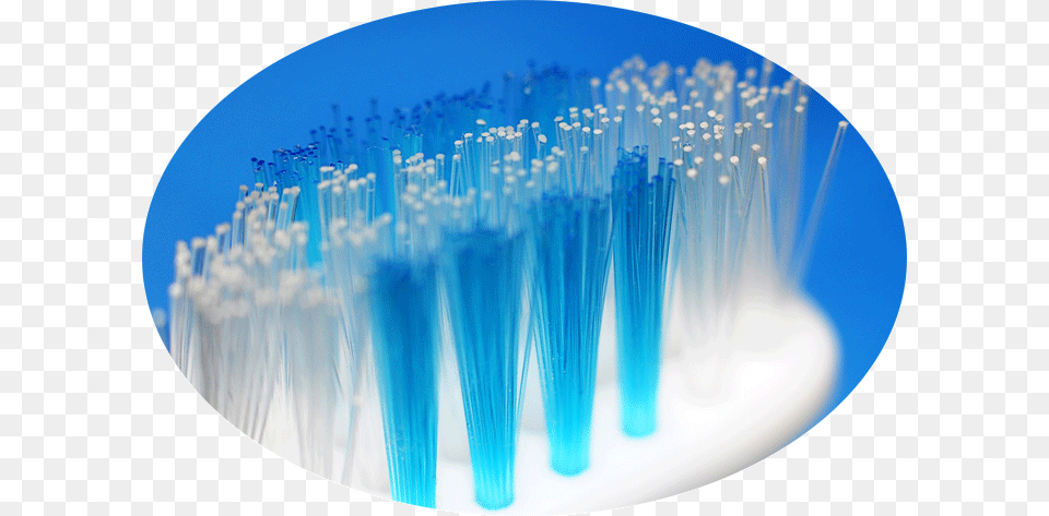 Color Bristle Toothbrush Bristles On A Toothbrush, Brush, Device, Tool Png