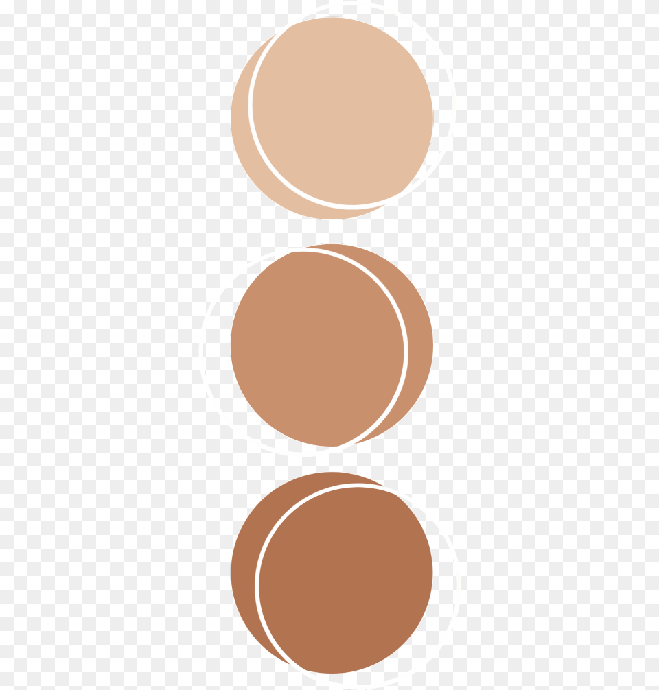 Color Brown Palette Anatomy Aesthetic Kpop Aesthetic Color Palette Circle, Oval, Food, Meal Png