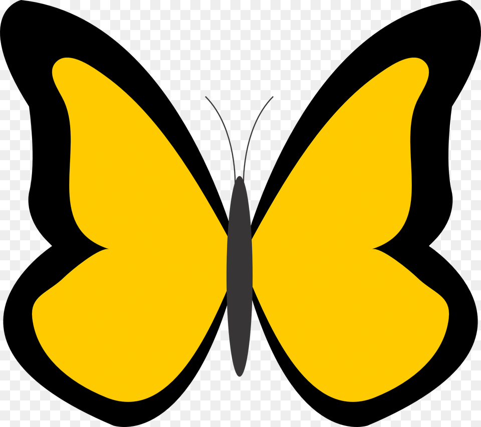 Color Butterfly Cliparts, Animal, Insect, Invertebrate, Blade Png Image