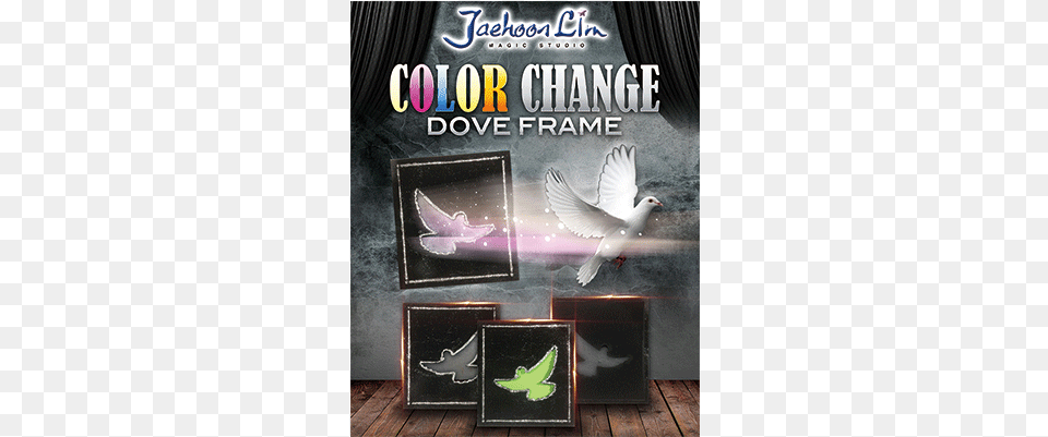 Color Change Dove Frame By Jaehoon Lim, Animal, Bird, Pigeon, Advertisement Free Png Download