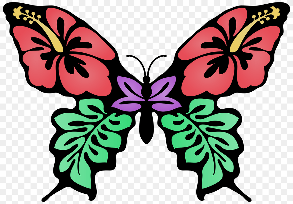 Color Clipart Flower Butterfly, Plant, Hibiscus, Pattern Png