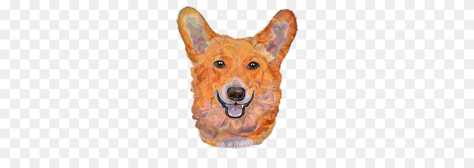Color Dogs Animal, Canine, Mammal, Coyote Free Transparent Png