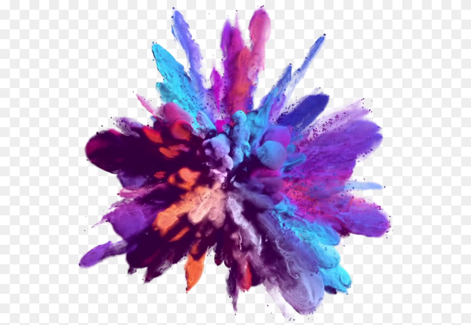 Color Dust Explosion, Purple, Dye, Flower, Plant Free Png