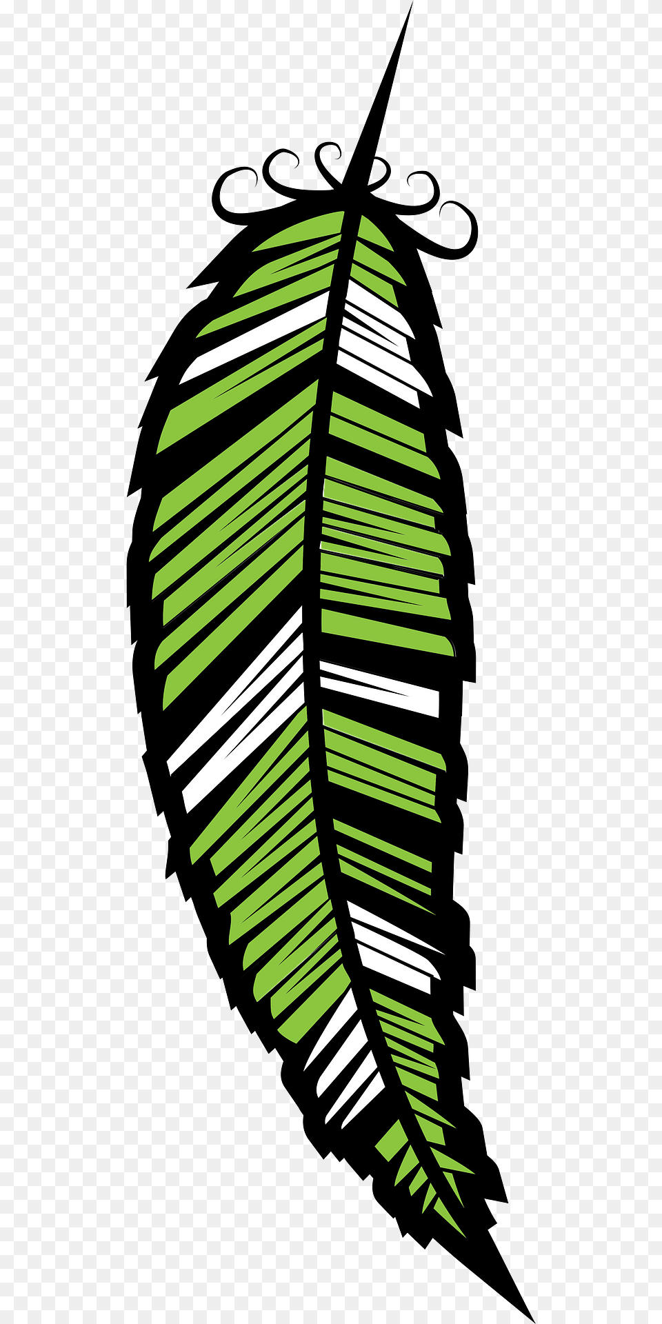 Color Feather Clipart, Leaf, Plant, Green Png Image