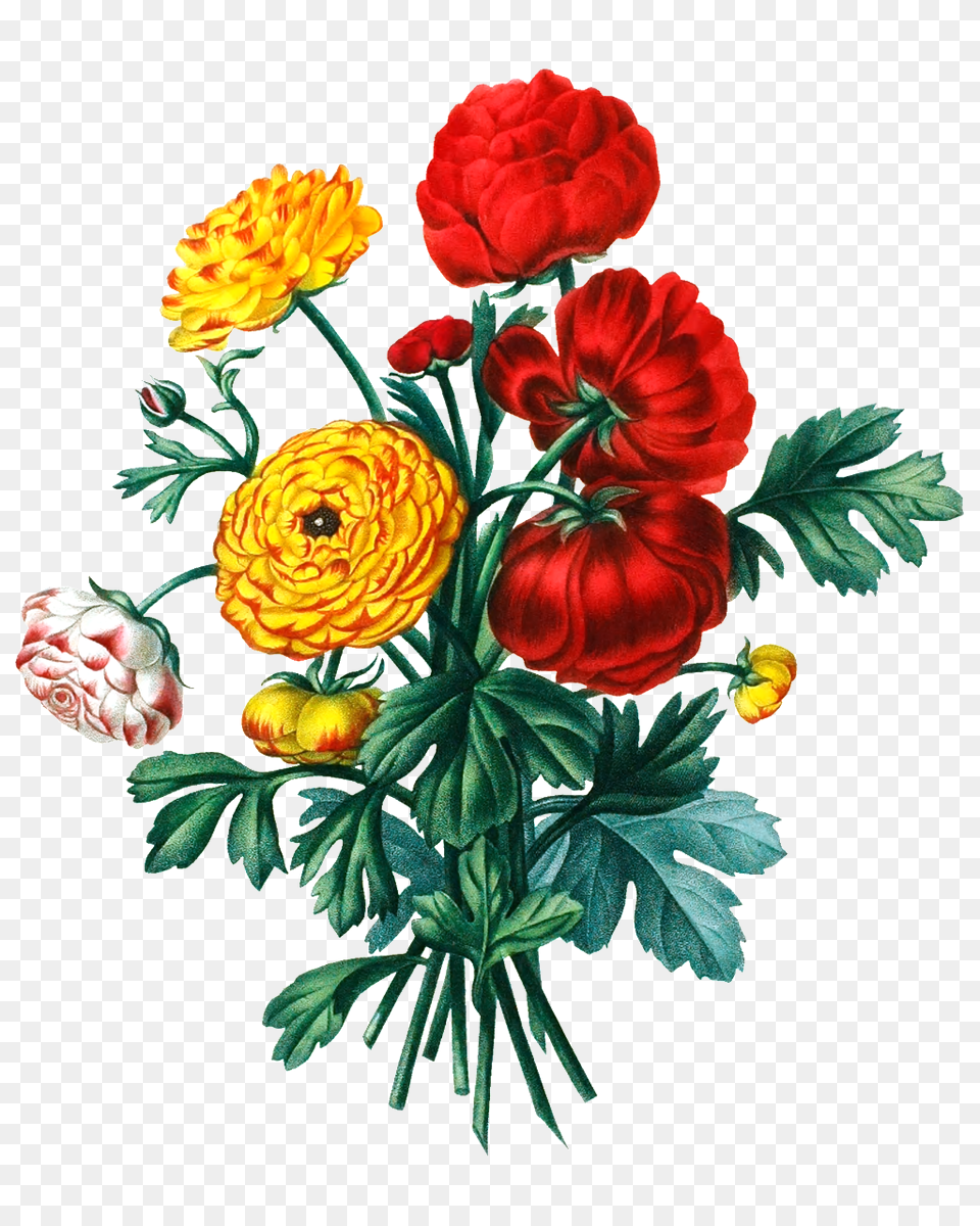 Color Hd Flower Bouquet Physical Elements Download, Art, Floral Design, Pattern, Graphics Free Png
