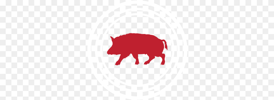 Color Hd Vector Silhouettes Of The W Square Sticker 3quot X, Animal, Boar, Hog, Mammal Free Png