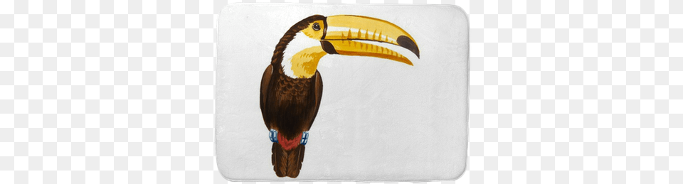 Color Illustration Of Toucan In Watercolor Paintings Watercolor Painting, Animal, Beak, Bird Free Png