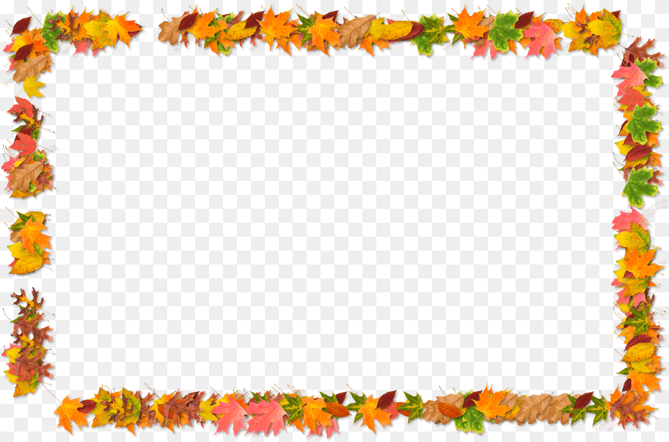 Color Light Violet Autumn Fall Border, Flower, Flower Arrangement, Leaf, Plant Free Png Download