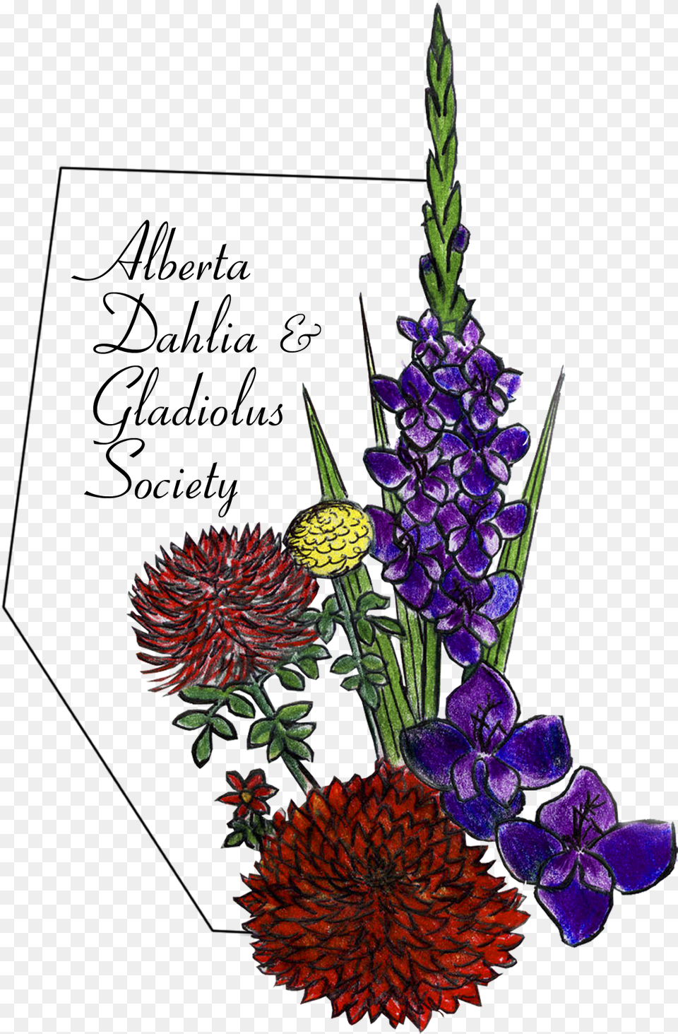 Color Logo Lupin, Flower, Flower Arrangement, Flower Bouquet, Plant Free Png