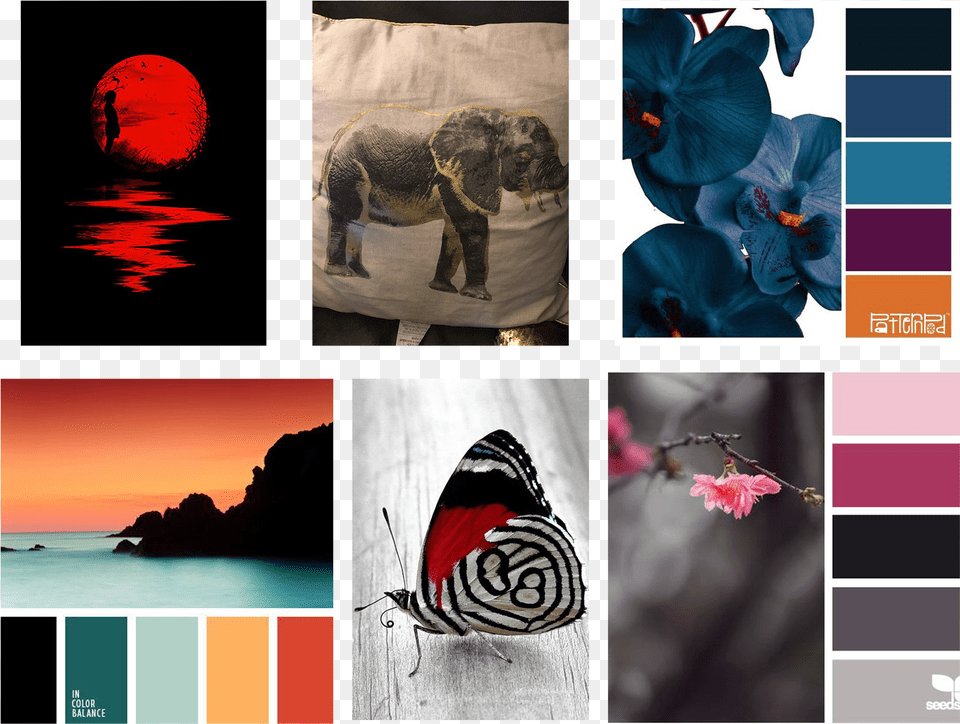 Color Mood Board Indian Elephant, Art, Canvas, Collage, Animal Free Png Download