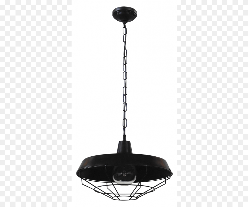 Color Of Body Chandelier, Lamp, Light Fixture Png Image
