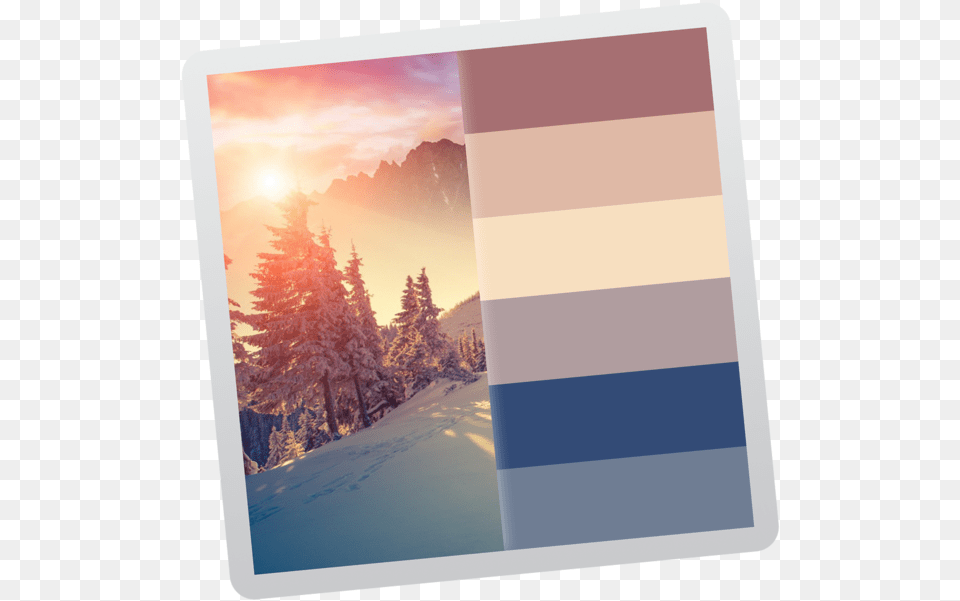 Color Palette From Image, Plant, Sky, Outdoors, Nature Free Transparent Png