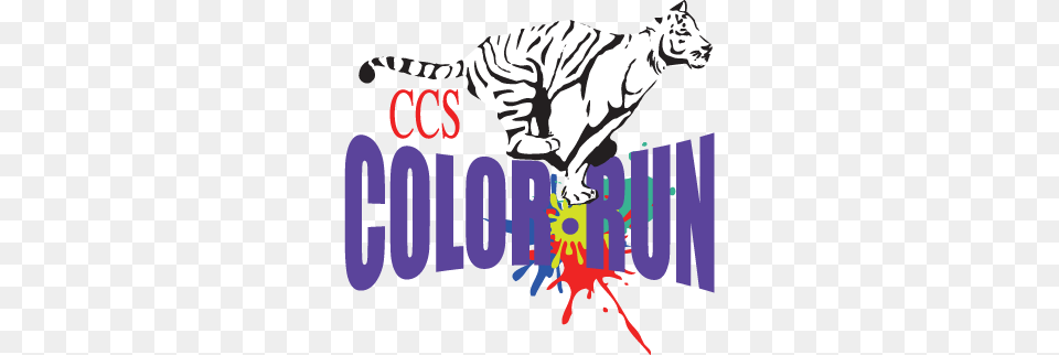 Color Run Cathedral Carmel School, Animal, Mammal, Wildlife, Zebra Png