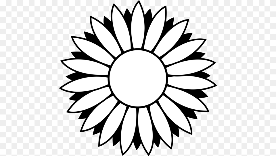 Color The Petals Then Glue Dry Beans In The Center Fun Easy, Daisy, Flower, Plant Free Transparent Png