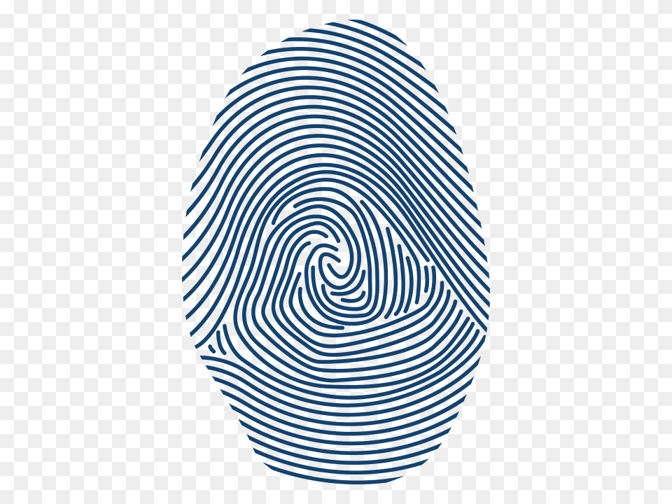 Colorado Fingerprinting, Accessories, Spiral, Home Decor, Formal Wear Free Transparent Png