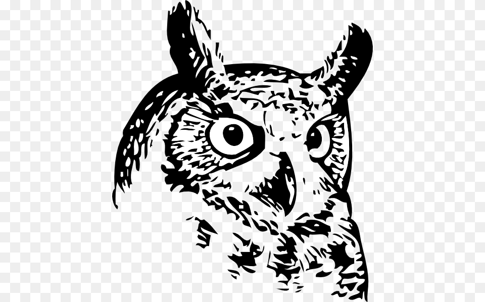 Colorado River Collegiate Academy Owl, Baby, Person, Art, Face Free Png