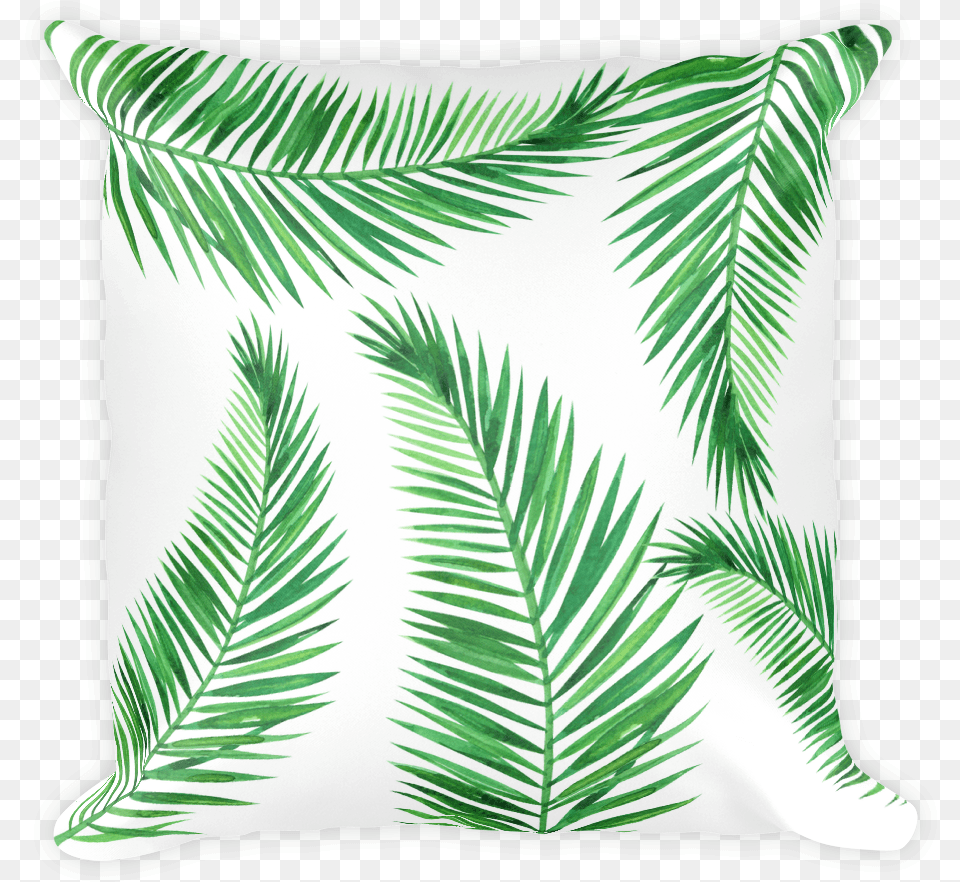 Colorado Spruce, Cushion, Home Decor, Pillow, Plant Png