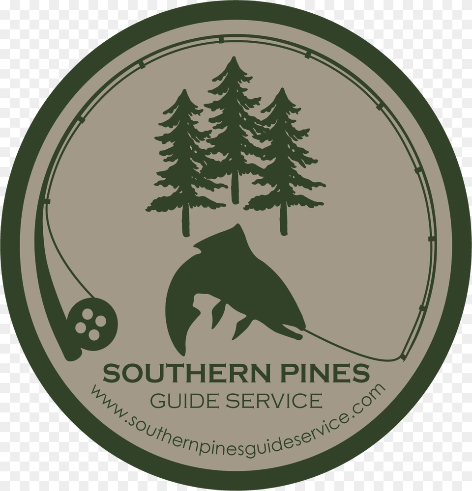 Colorado Spruce, Plant, Tree, Logo Png