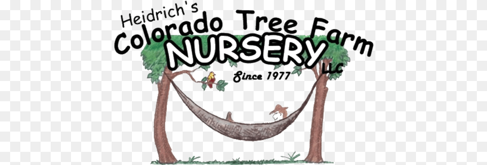 Colorado Tree Farm Nursery Colorado, Furniture, Hammock, Adult, Bride Png Image